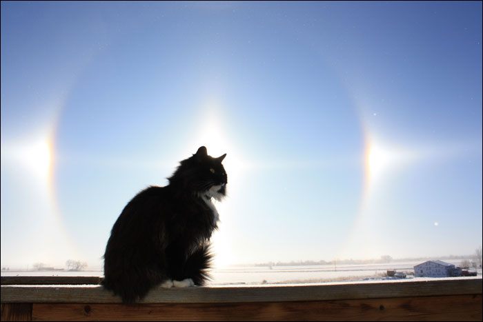 Sun Dogs - Madison