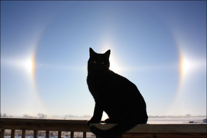 Sun Dogs - Peanut