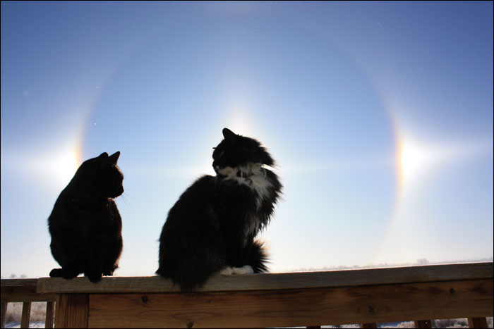 Sun Dogs - Peanut & Madison